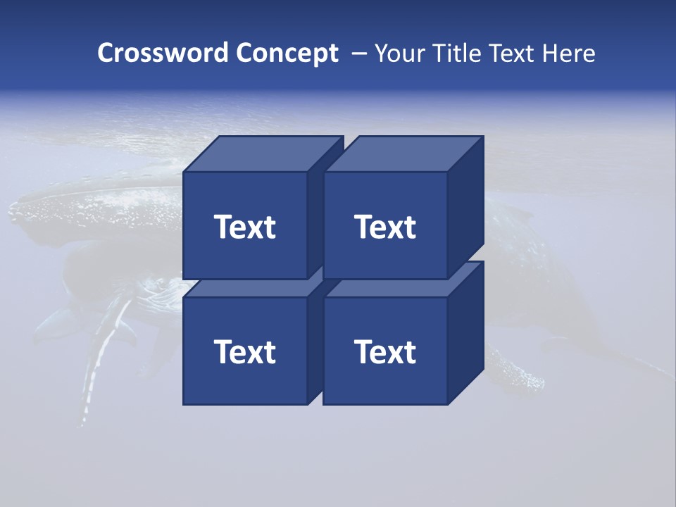 Humpbackwale Humpback Whale Orca PowerPoint Template