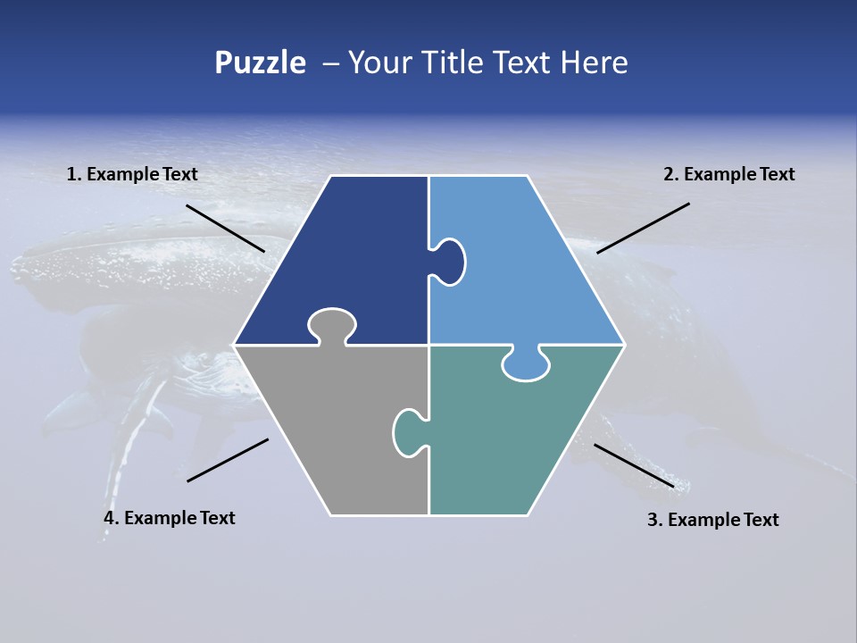 Humpbackwale Humpback Whale Orca PowerPoint Template