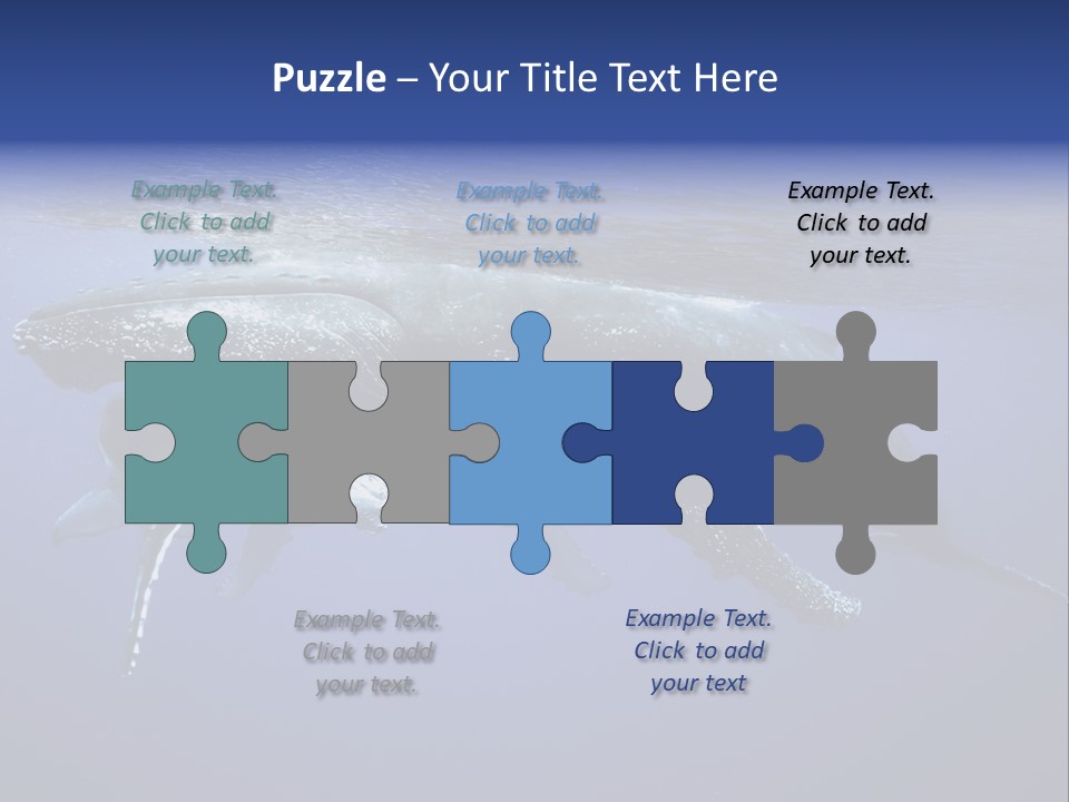 Humpbackwale Humpback Whale Orca PowerPoint Template