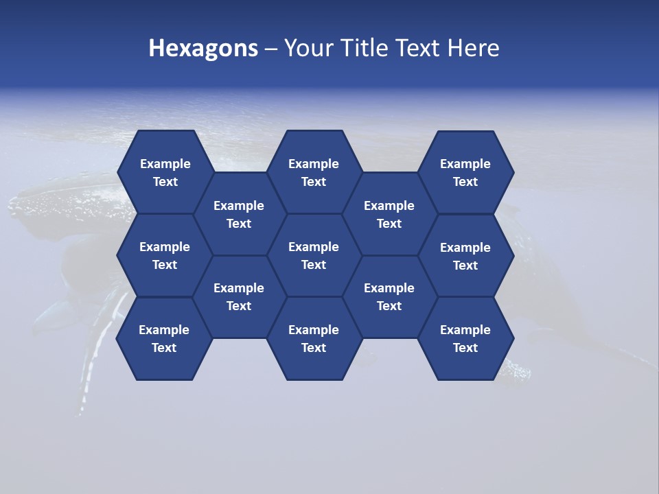 Humpbackwale Humpback Whale Orca PowerPoint Template