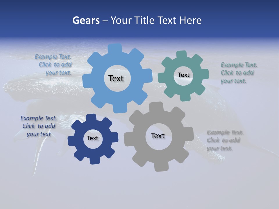 Humpbackwale Humpback Whale Orca PowerPoint Template