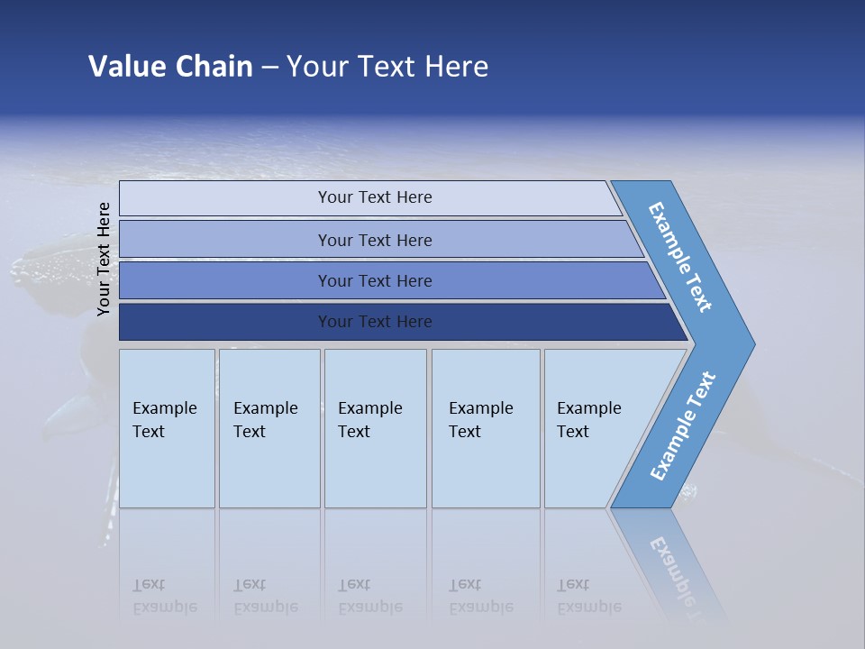 Humpbackwale Humpback Whale Orca PowerPoint Template
