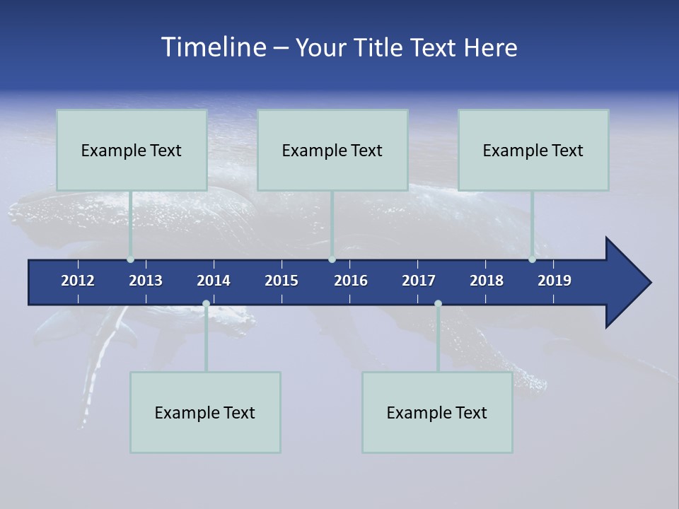 Humpbackwale Humpback Whale Orca PowerPoint Template