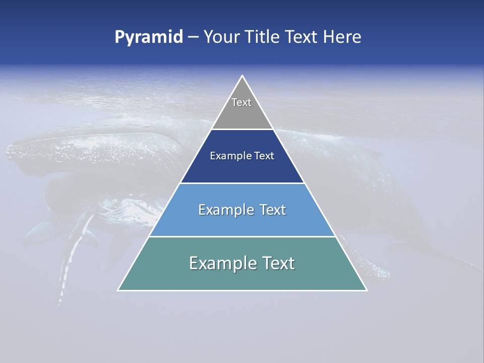 Humpbackwale Humpback Whale Orca PowerPoint Template