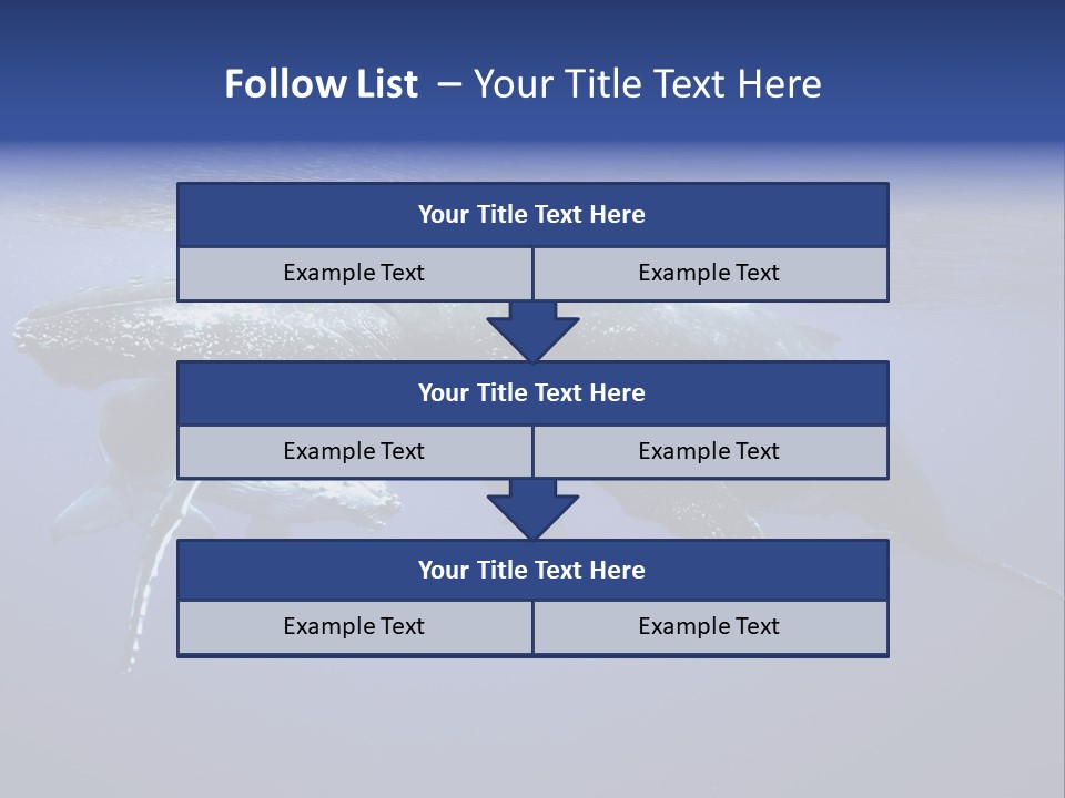 Humpbackwale Humpback Whale Orca PowerPoint Template