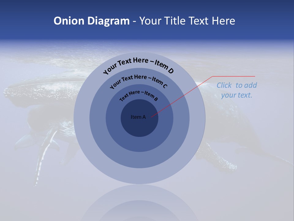 Humpbackwale Humpback Whale Orca PowerPoint Template