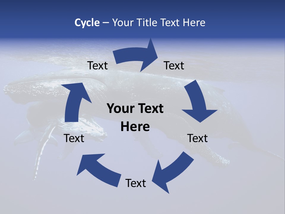 Humpbackwale Humpback Whale Orca PowerPoint Template