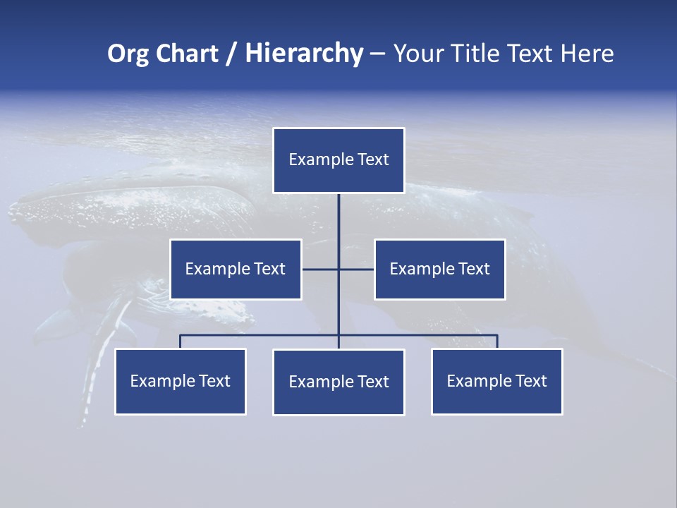 Humpbackwale Humpback Whale Orca PowerPoint Template