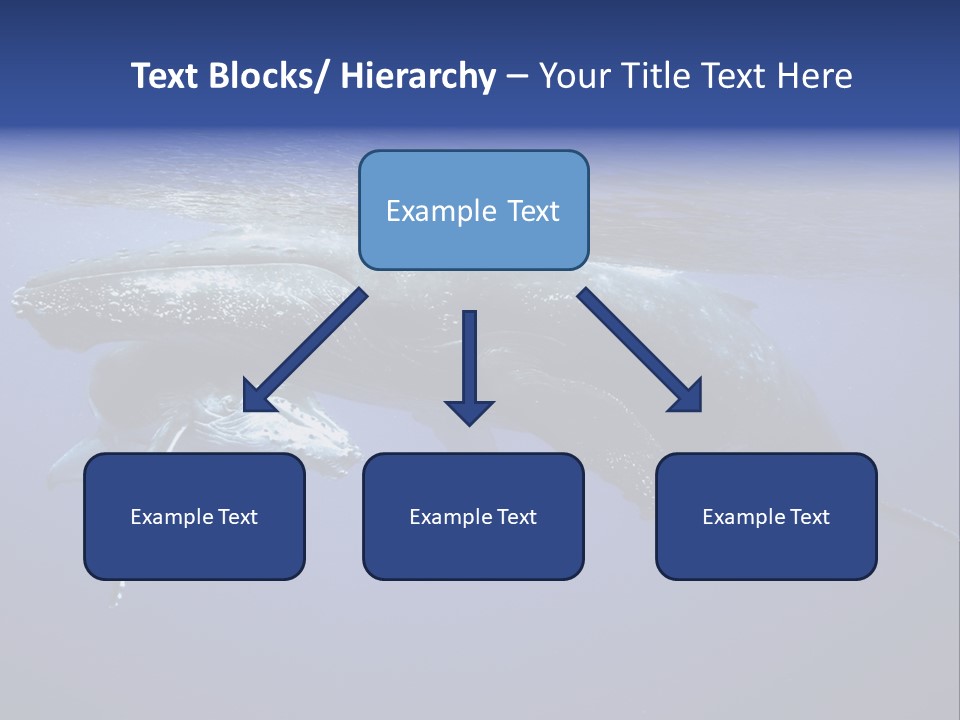 Humpbackwale Humpback Whale Orca PowerPoint Template