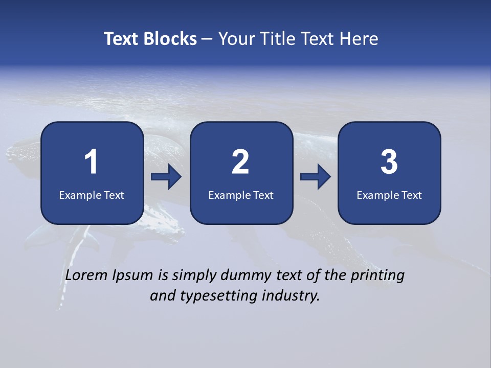 Humpbackwale Humpback Whale Orca PowerPoint Template