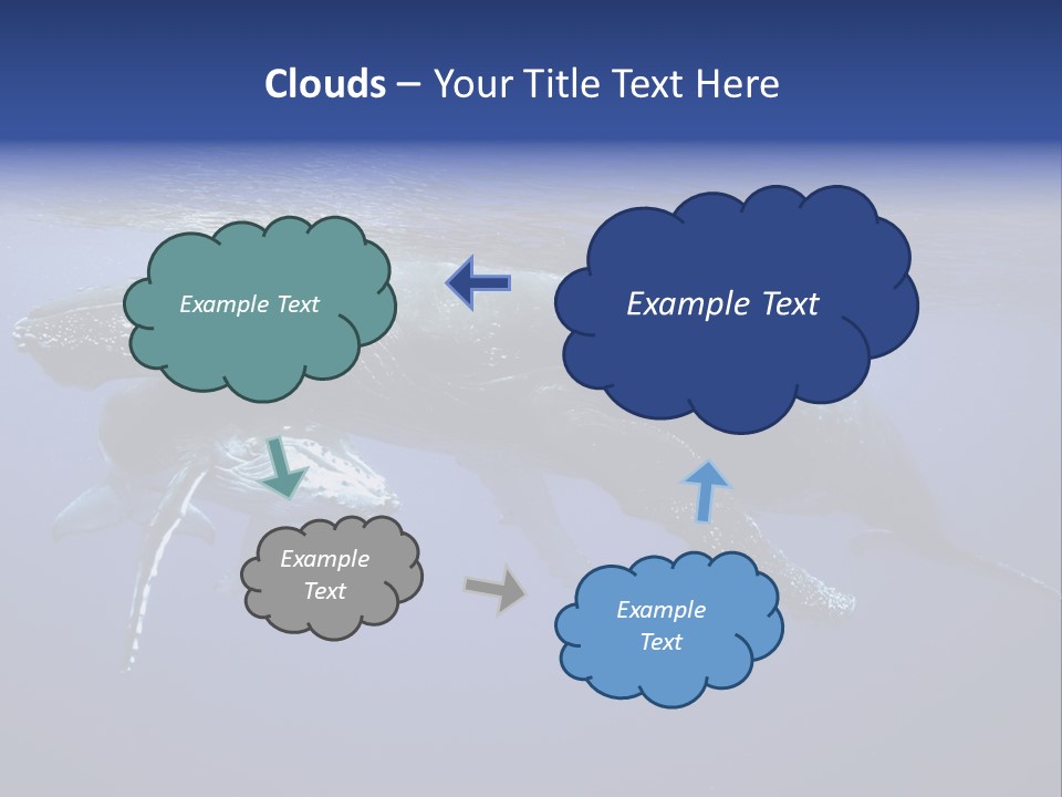 Humpbackwale Humpback Whale Orca PowerPoint Template