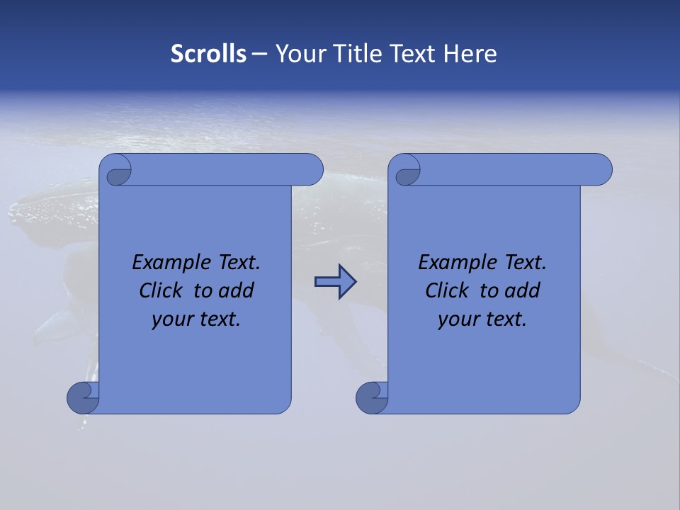 Humpbackwale Humpback Whale Orca PowerPoint Template