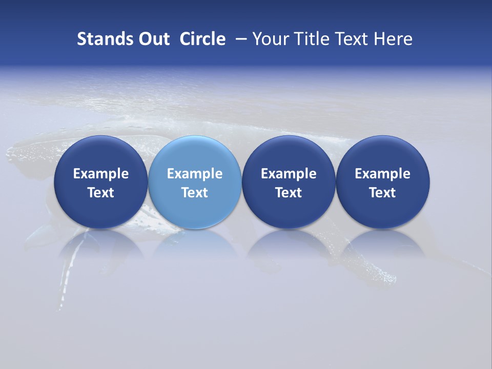 Humpbackwale Humpback Whale Orca PowerPoint Template