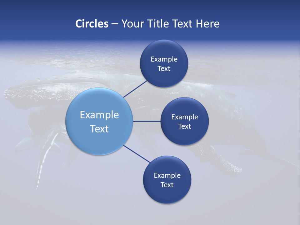 Humpbackwale Humpback Whale Orca PowerPoint Template