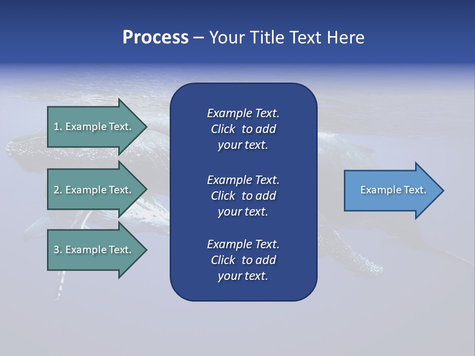 Humpbackwale Humpback Whale Orca PowerPoint Template