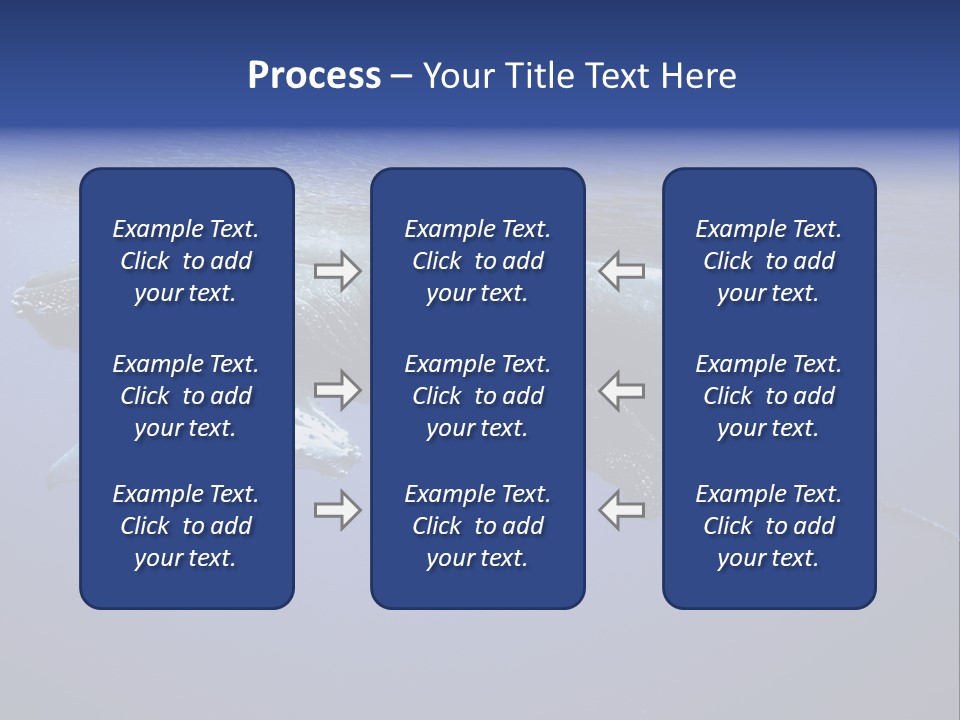 Humpbackwale Humpback Whale Orca PowerPoint Template