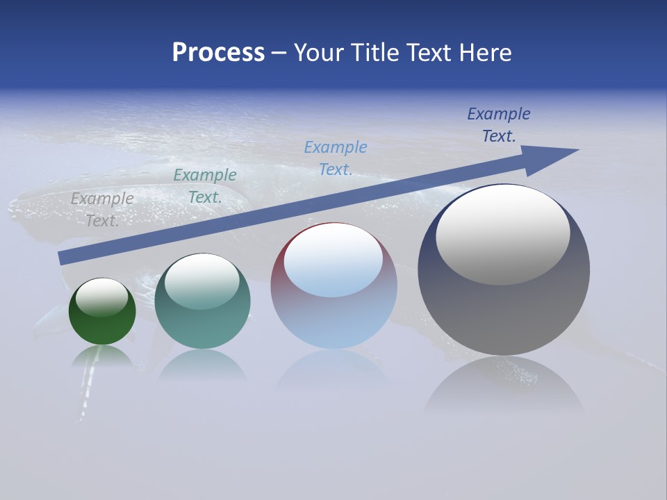 Humpbackwale Humpback Whale Orca PowerPoint Template