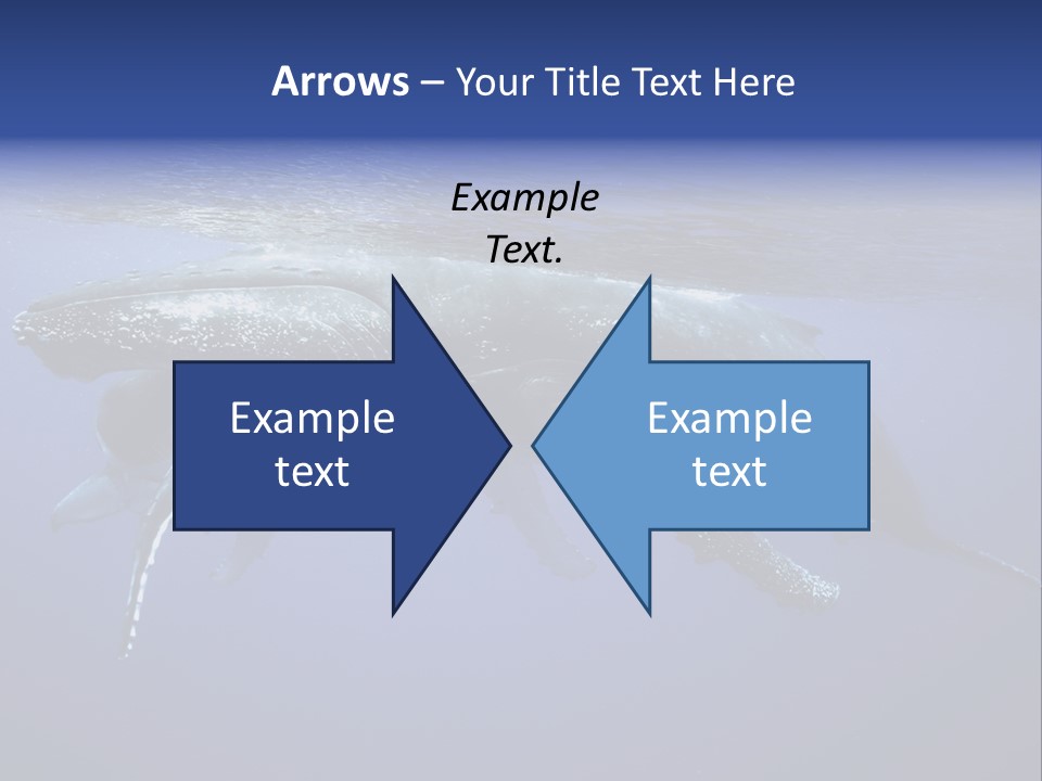 Humpbackwale Humpback Whale Orca PowerPoint Template