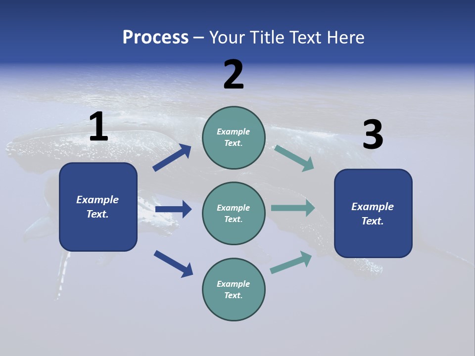 Humpbackwale Humpback Whale Orca PowerPoint Template