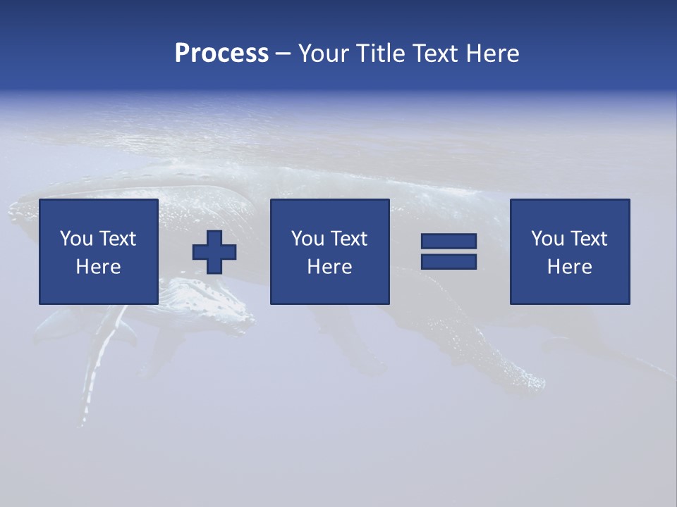 Humpbackwale Humpback Whale Orca PowerPoint Template