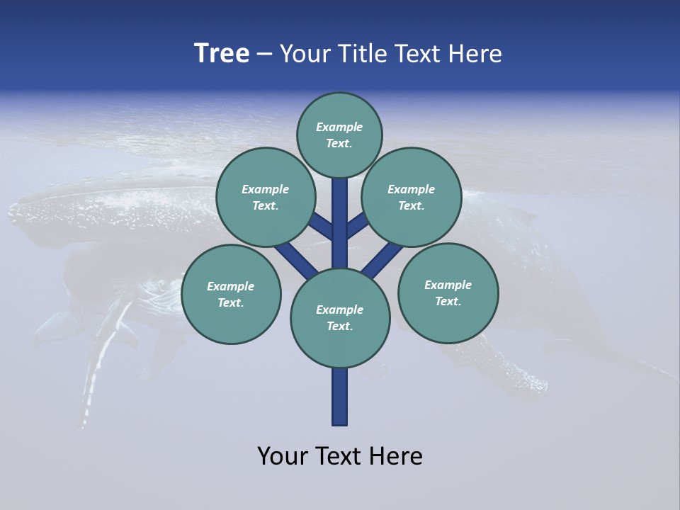 Humpbackwale Humpback Whale Orca PowerPoint Template