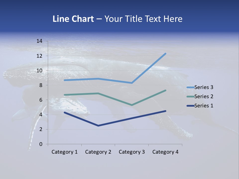 Humpbackwale Humpback Whale Orca PowerPoint Template