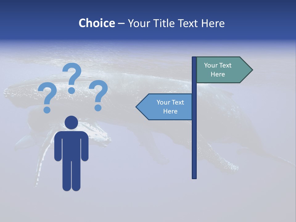 Humpbackwale Humpback Whale Orca PowerPoint Template