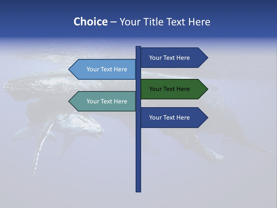 Humpbackwale Humpback Whale Orca PowerPoint Template