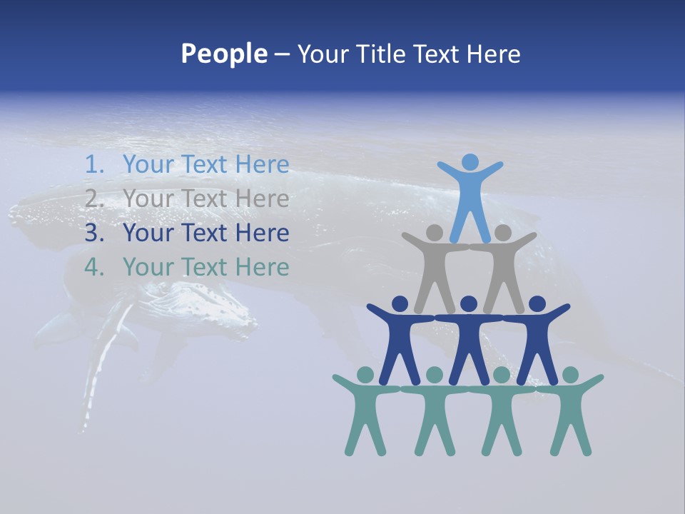 Humpbackwale Humpback Whale Orca PowerPoint Template