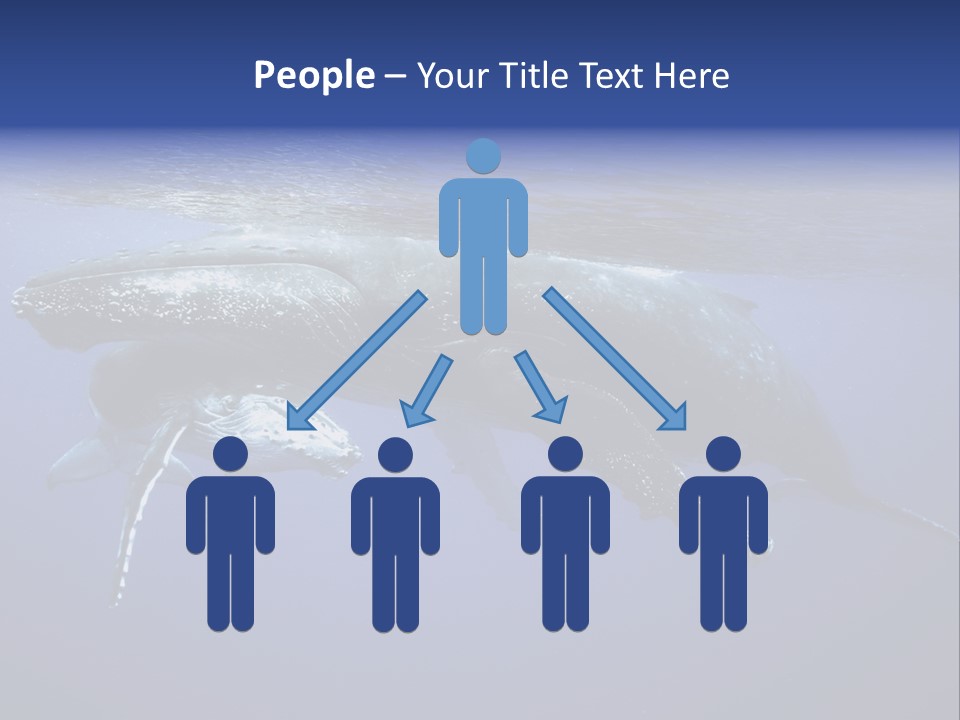 Humpbackwale Humpback Whale Orca PowerPoint Template