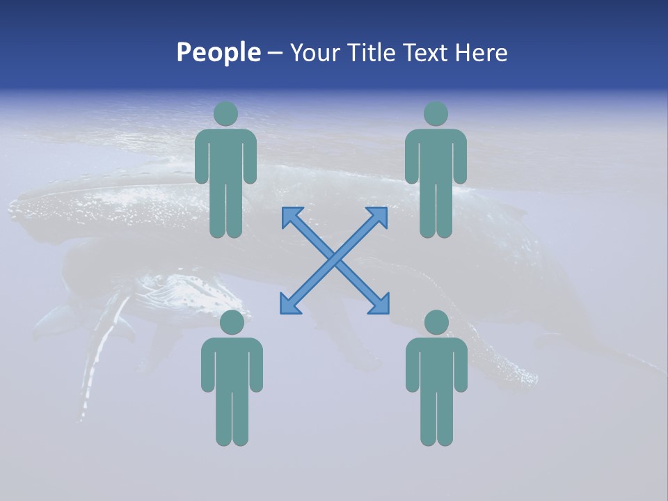 Humpbackwale Humpback Whale Orca PowerPoint Template