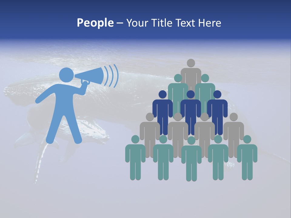 Humpbackwale Humpback Whale Orca PowerPoint Template