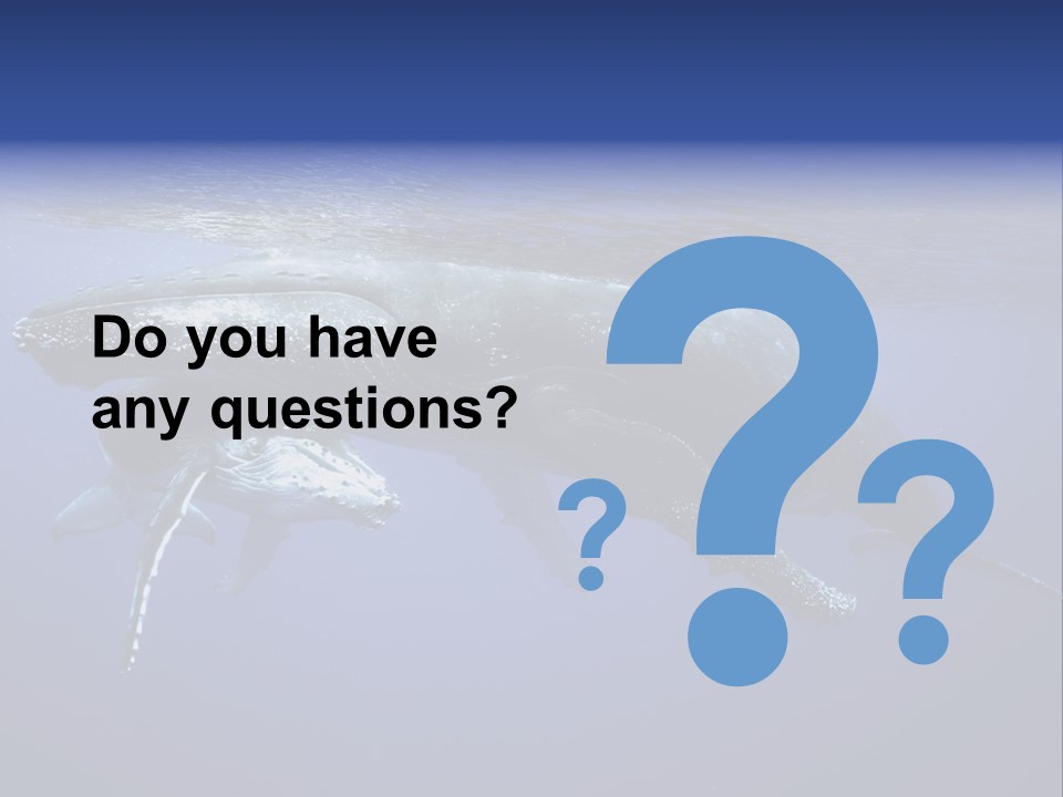 Humpbackwale Humpback Whale Orca PowerPoint Template