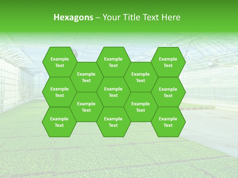 Glass Spotlight Desolate PowerPoint Template