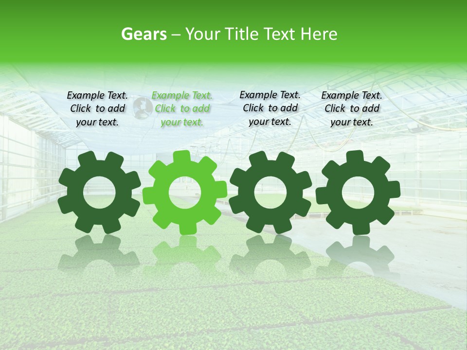 Glass Spotlight Desolate PowerPoint Template