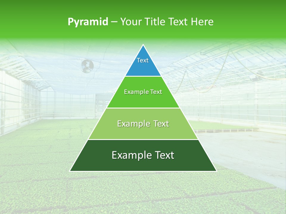 Glass Spotlight Desolate PowerPoint Template