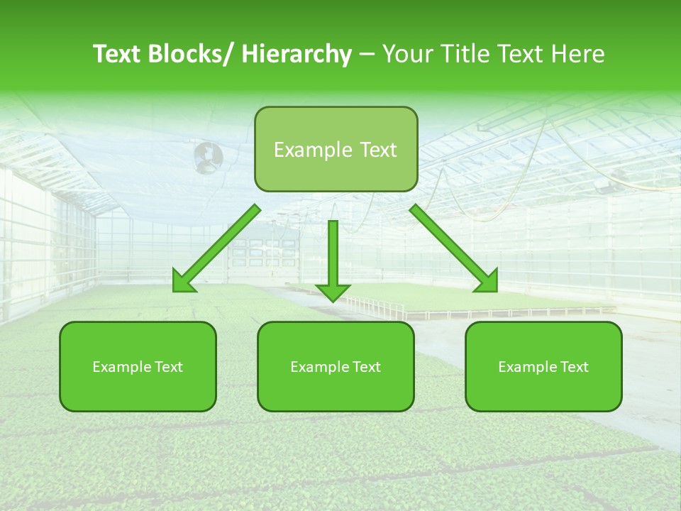 Glass Spotlight Desolate PowerPoint Template