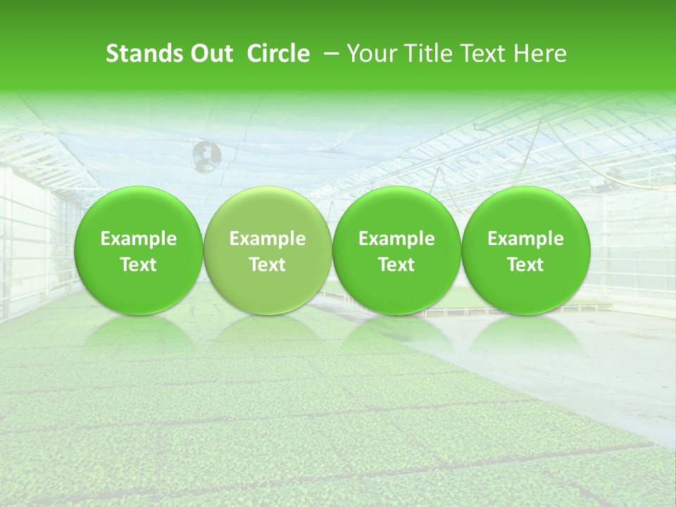 Glass Spotlight Desolate PowerPoint Template