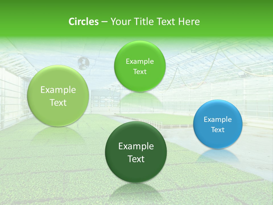 Glass Spotlight Desolate PowerPoint Template