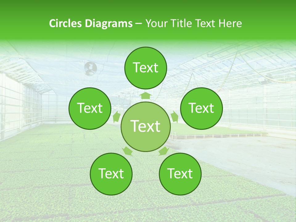 Glass Spotlight Desolate PowerPoint Template