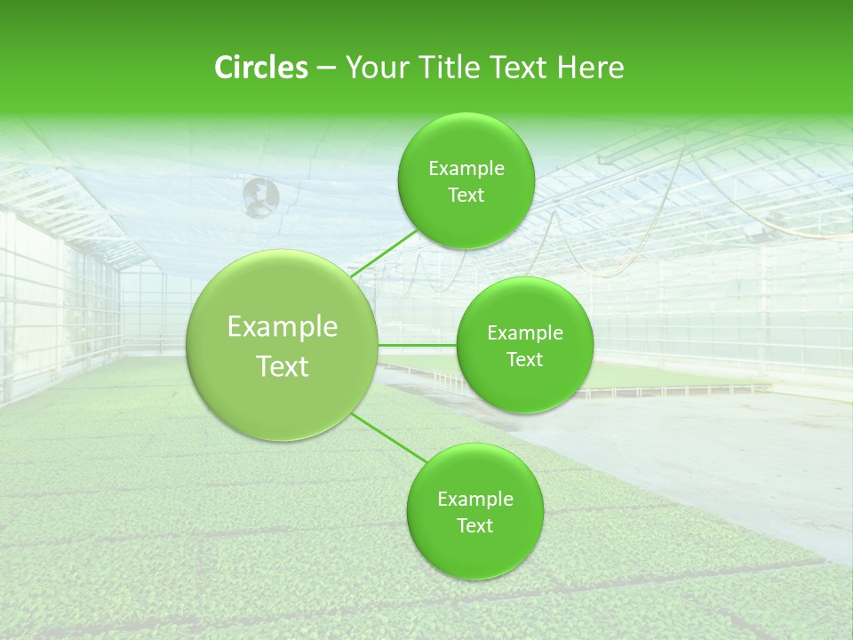 Glass Spotlight Desolate PowerPoint Template