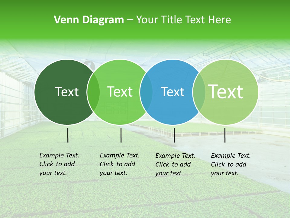 Glass Spotlight Desolate PowerPoint Template