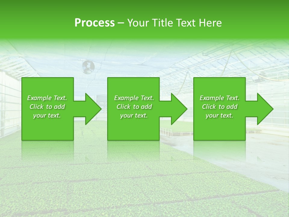 Glass Spotlight Desolate PowerPoint Template