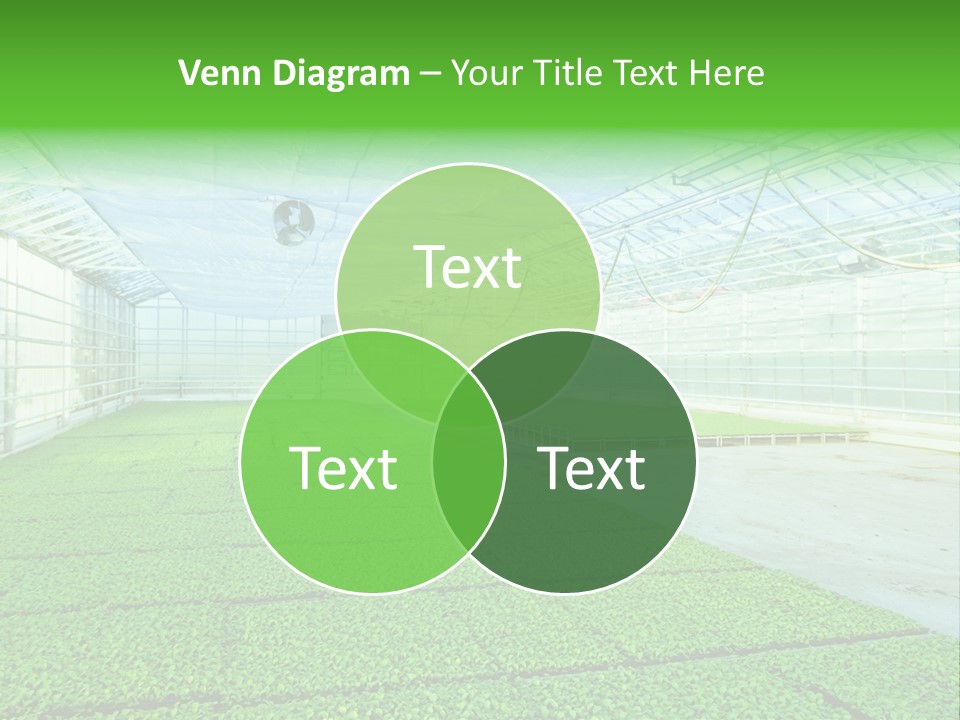 Glass Spotlight Desolate PowerPoint Template