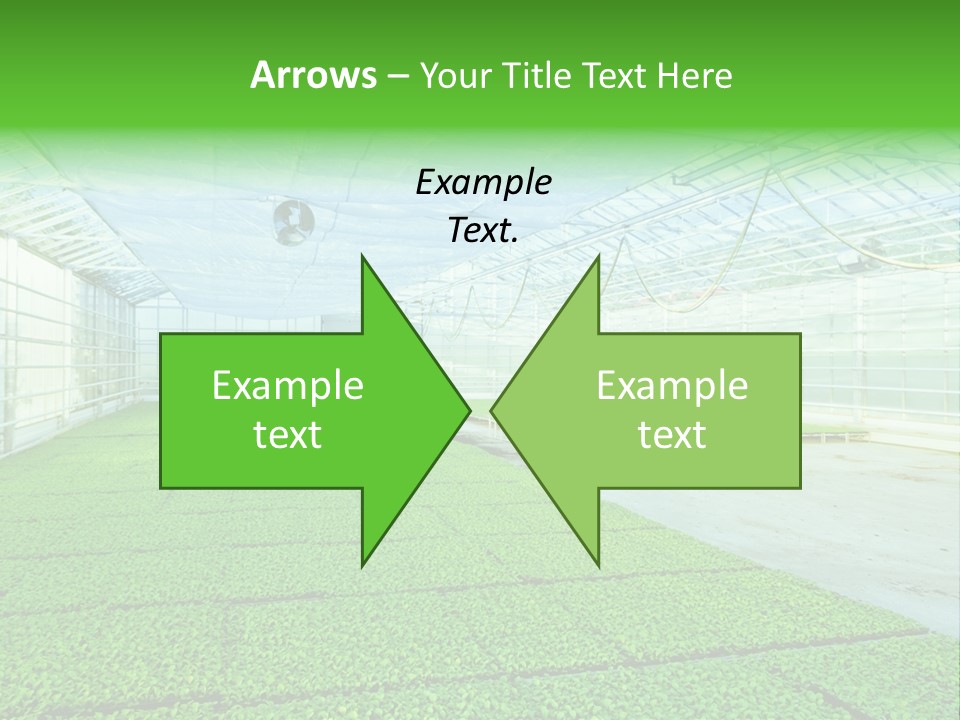 Glass Spotlight Desolate PowerPoint Template