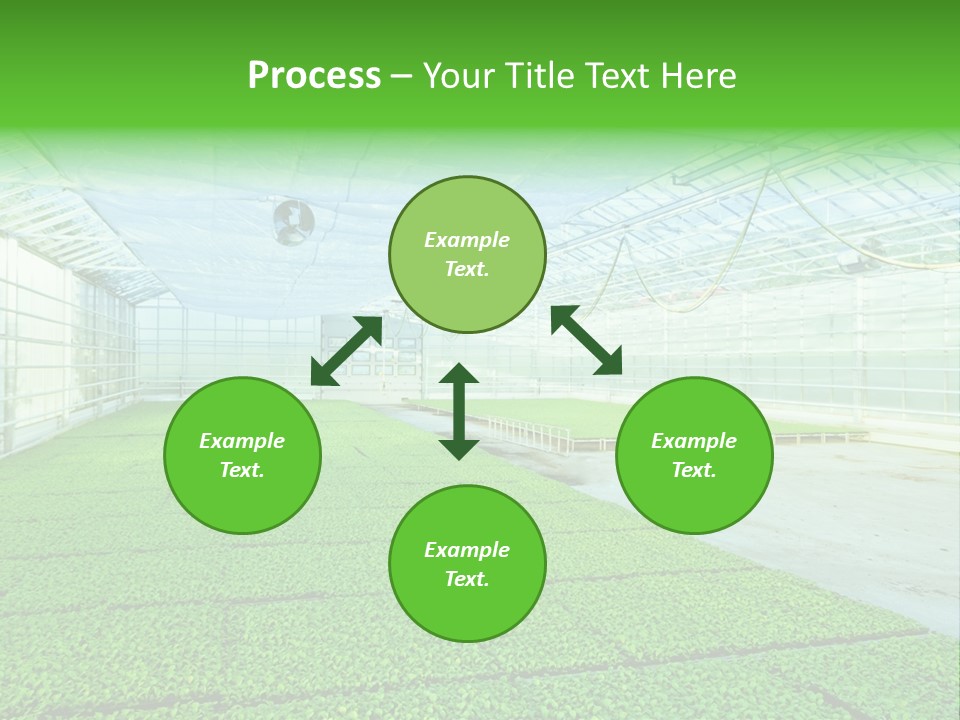 Glass Spotlight Desolate PowerPoint Template