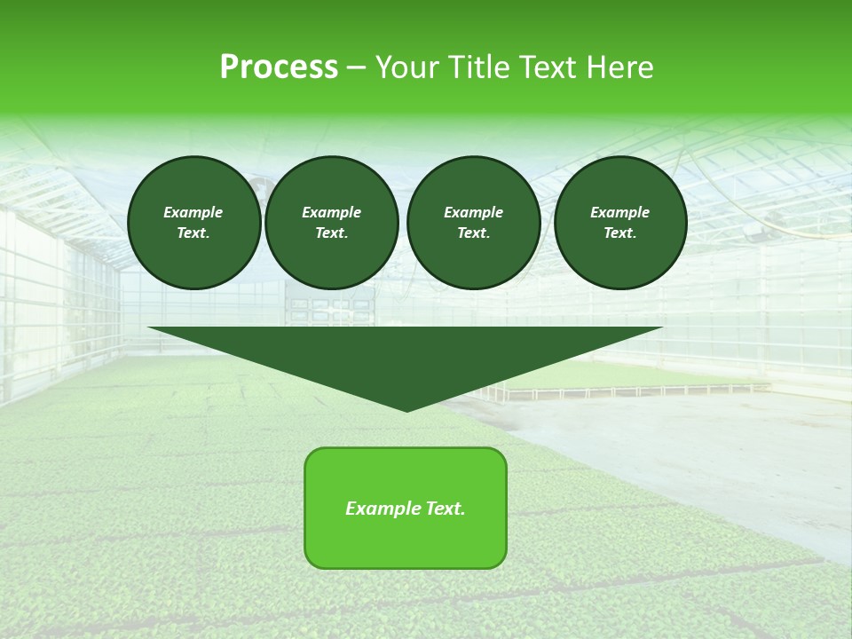 Glass Spotlight Desolate PowerPoint Template