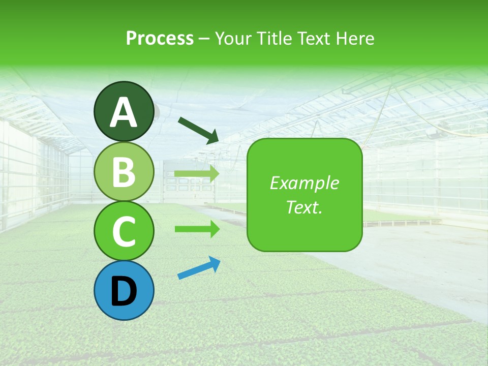 Glass Spotlight Desolate PowerPoint Template