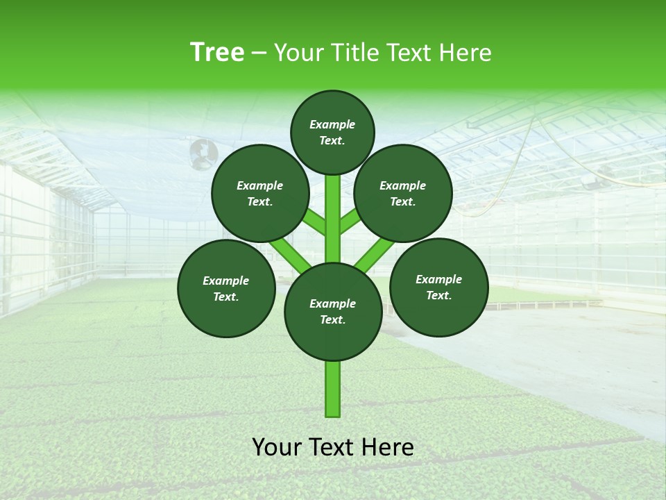 Glass Spotlight Desolate PowerPoint Template