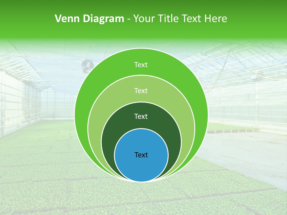 Glass Spotlight Desolate PowerPoint Template